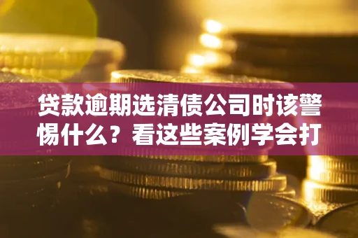 武汉贷款逾期选清债公司时该警惕什么？看这些案例学会打翻身仗