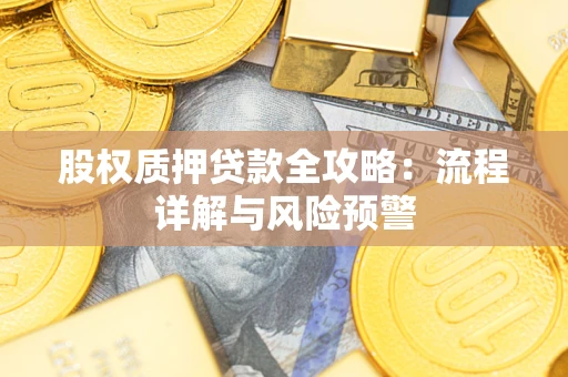 武汉股权质押贷款全攻略：流程详解与风险预警