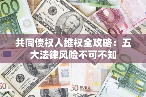 武汉共同债权人维权全攻略：五大法律风险不可不知