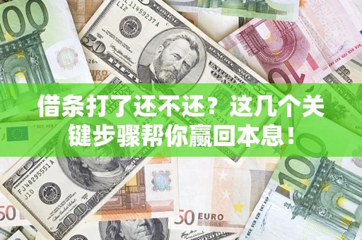 武汉借条打了还不还？这几个关键步骤帮你赢回本息！