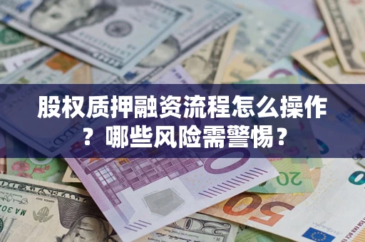 武汉股权质押融资流程怎么操作？哪些风险需警惕？