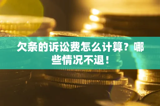武汉欠条的诉讼费怎么计算？哪些情况不退！