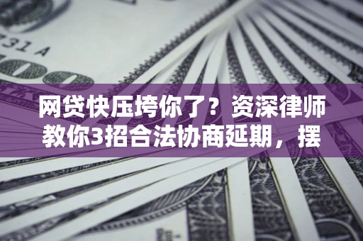 武汉网贷快压垮你了？资深律师教你3招合法协商延期，摆脱暴力催收！