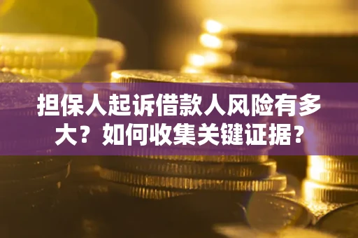 武汉担保人起诉借款人风险有多大？如何收集关键证据？