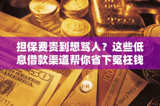 武汉担保费贵到想骂人？这些低息借款渠道帮你省下冤枉钱
