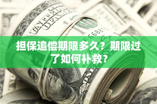 武汉担保追偿期限多久？期限过了如何补救？