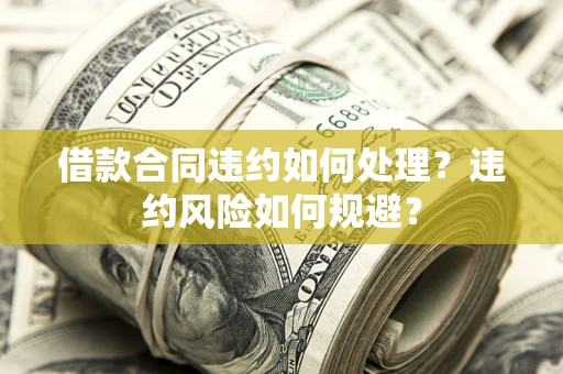 武汉借款合同违约如何处理？违约风险如何规避？