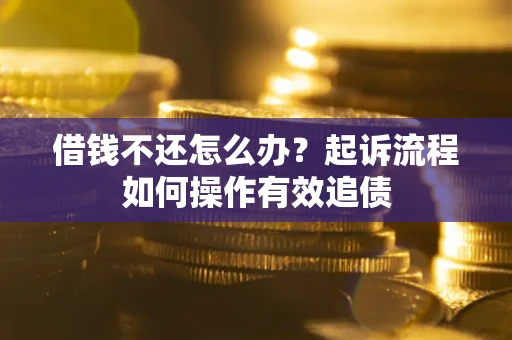 武汉借钱不还怎么办？起诉流程如何操作有效追债