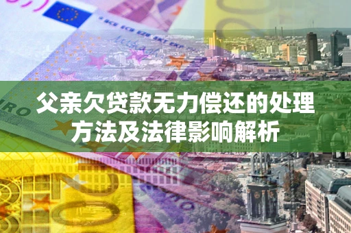 武汉父亲欠贷款无力偿还的处理方法及法律影响解析