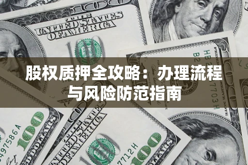 武汉股权质押全攻略：办理流程与风险防范指南