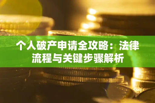 武汉个人破产申请全攻略：法律流程与关键步骤解析